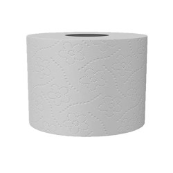 Toaletní papír, recykl, 2 vrstvý, 69m