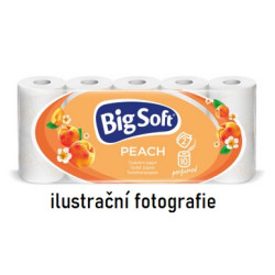 Toaletní papír, celulóza, bílý s ražbou, 2-vrstvý, 10ks - cena za 10 ks