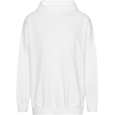 Mikina Tiger T 63111 s kapucí