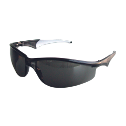 Brýle DIEM SW 2004, kouřové